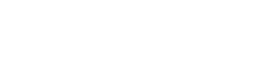 Noria Consulting